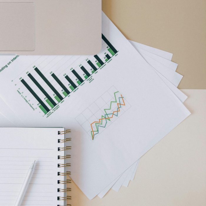 Flat lay of a workspace featuring a laptop, graphs, and a notebook for financial analysis.